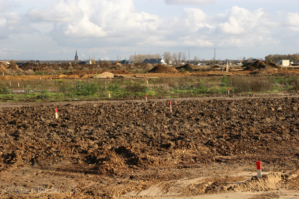 121111141141 IMG 4058