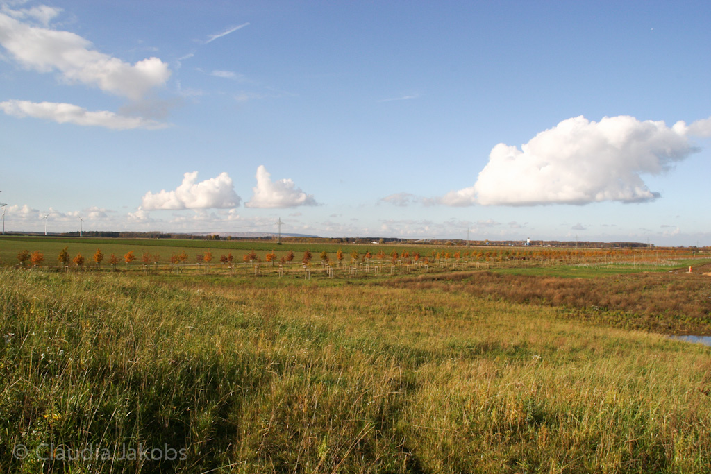 121111143633 IMG 4060