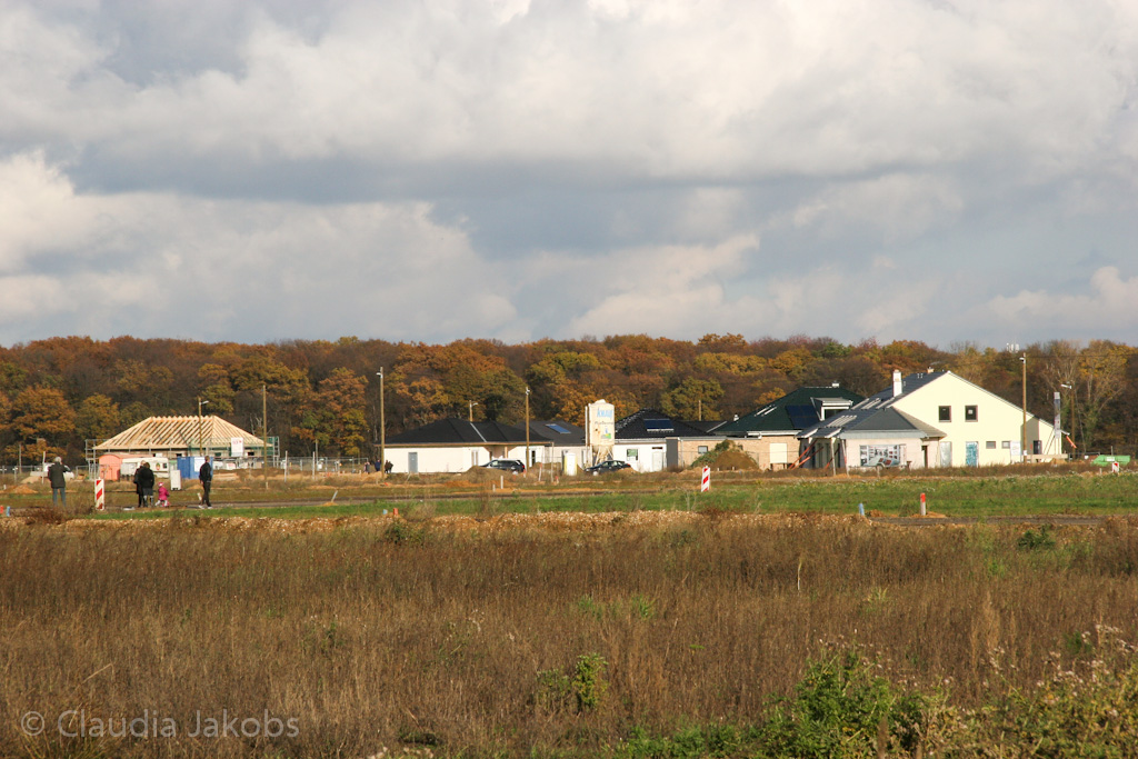 121111144742 IMG 4069