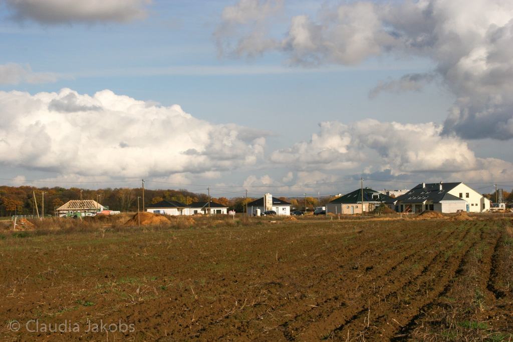 121111145125 IMG 4072