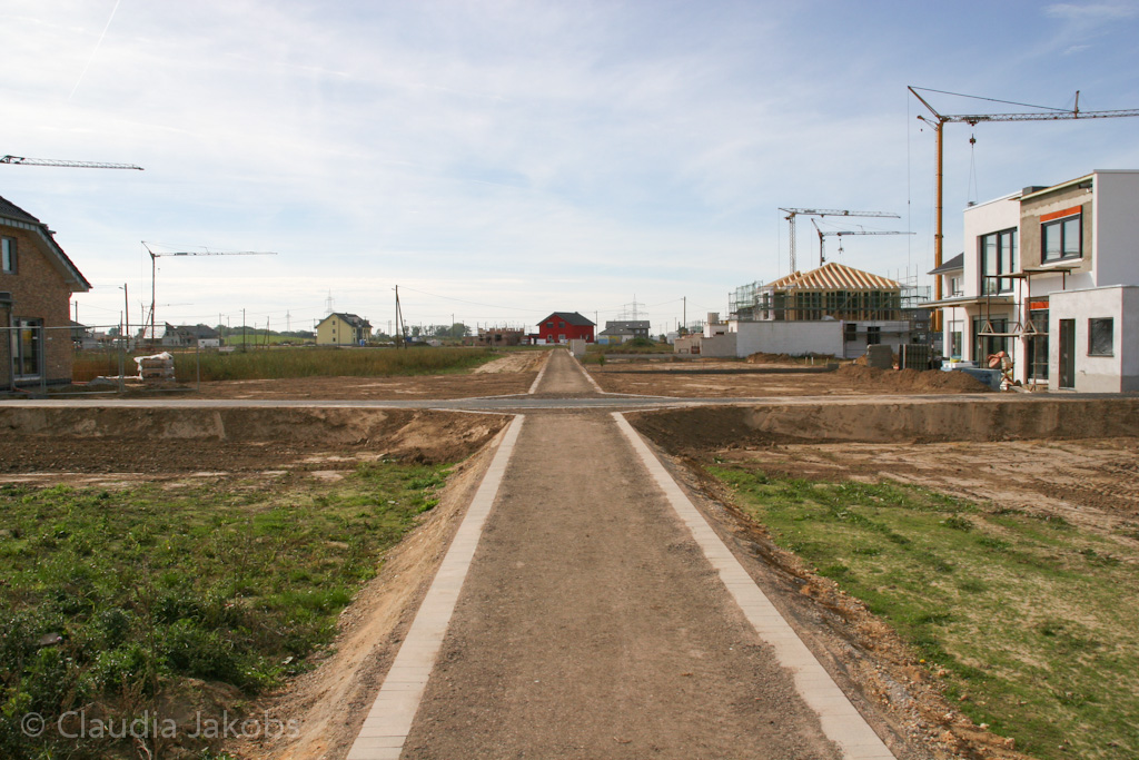 131003125504 IMG 6303