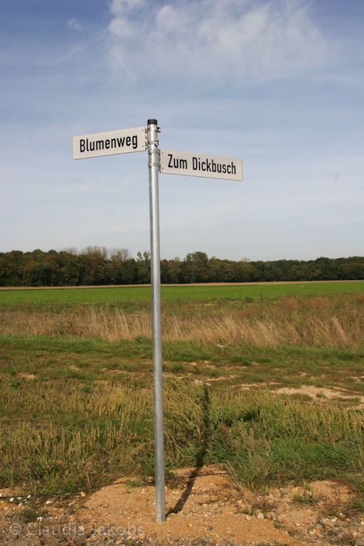 131003130026 IMG 6310