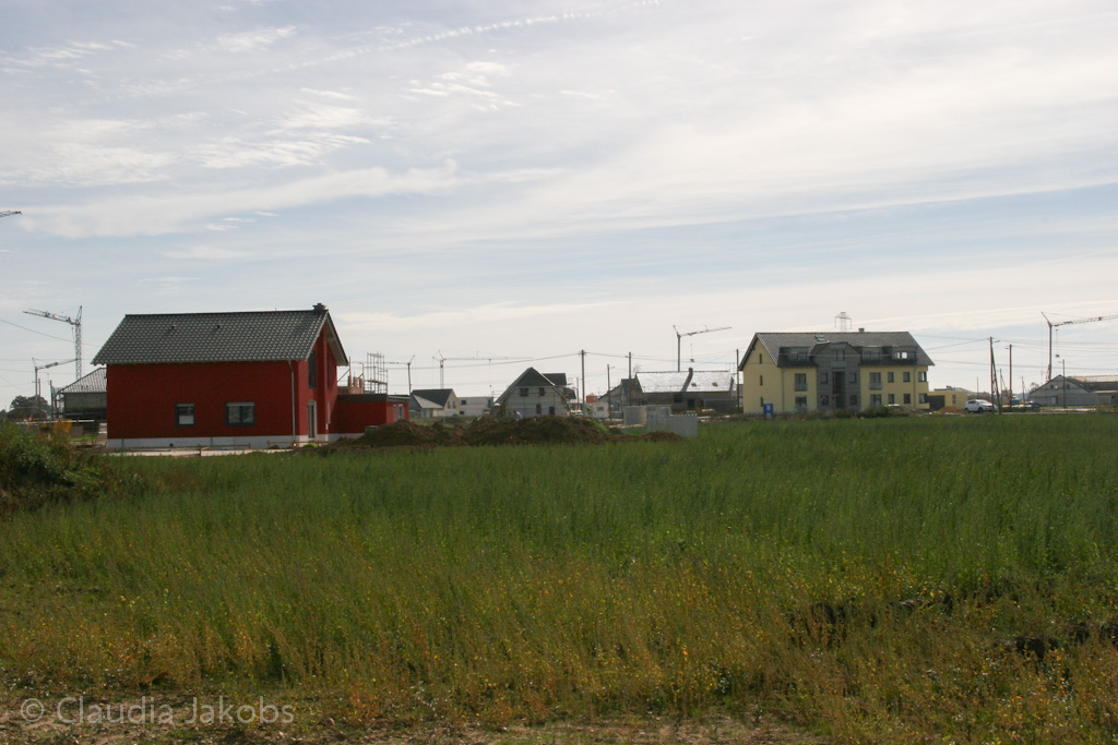 131003130144 IMG 6312