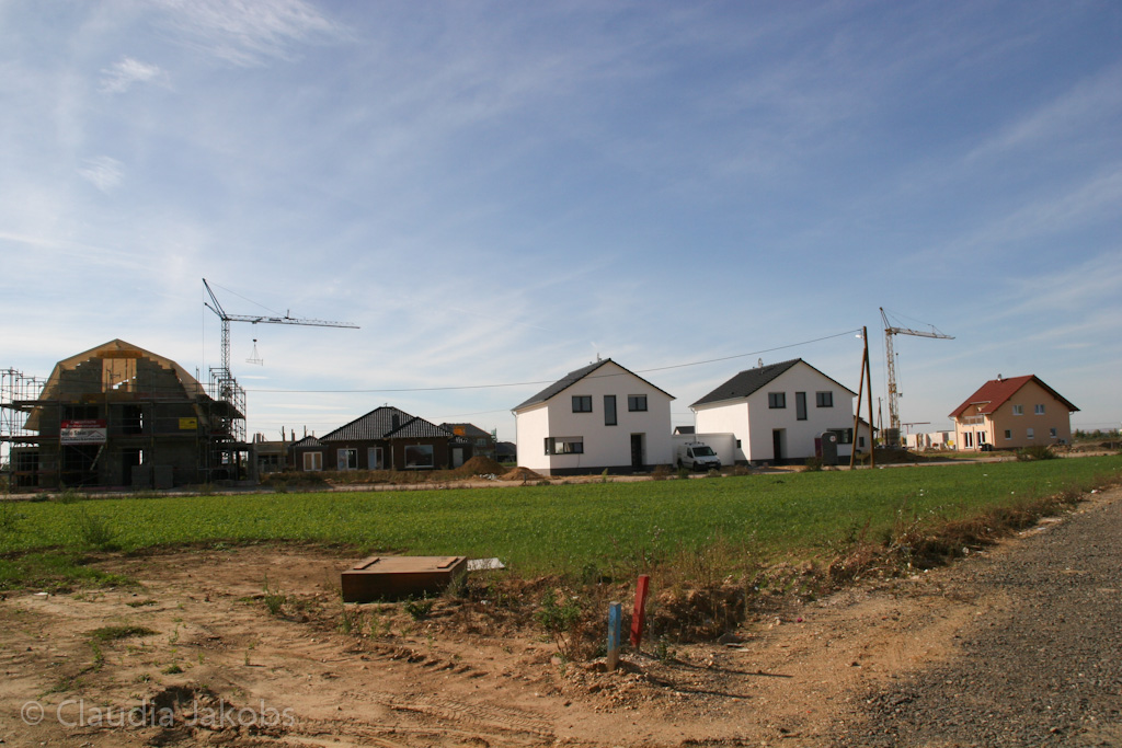 131003132357 IMG 6315