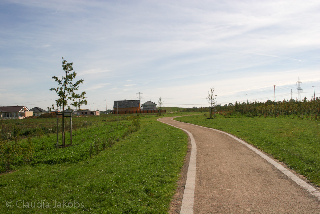 131003133205 IMG 6322