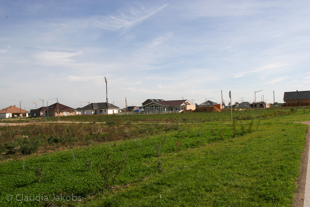 131003133228 IMG 6323