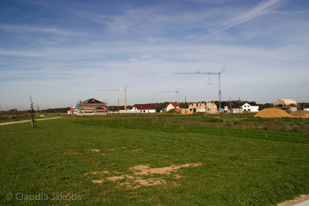 131003133446 IMG 6325