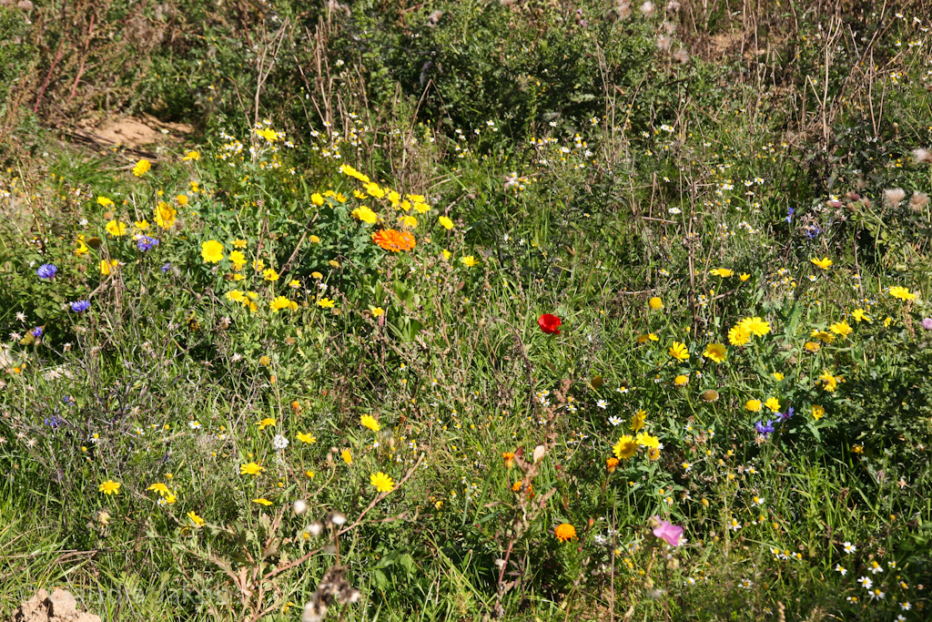 131003133612 IMG 6326