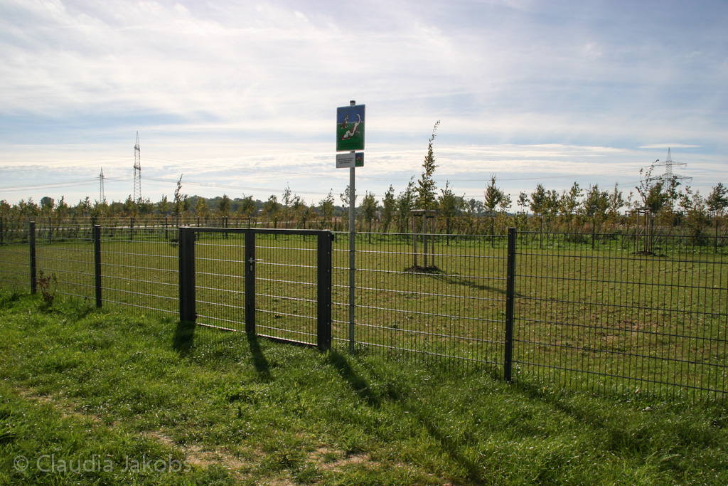 131003133644 IMG 6327