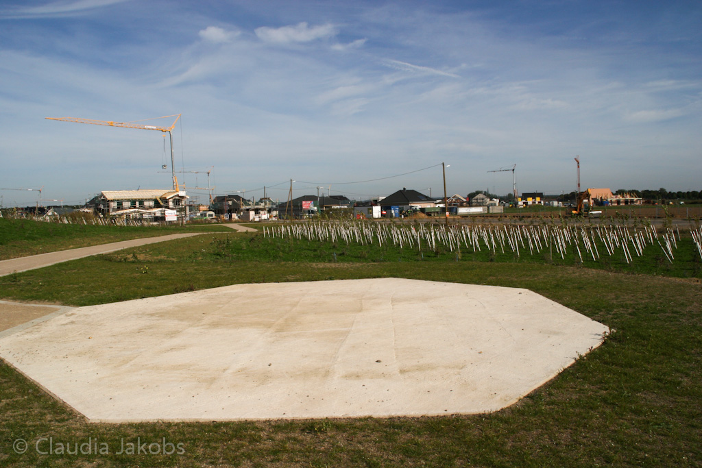 131003134244 IMG 6334