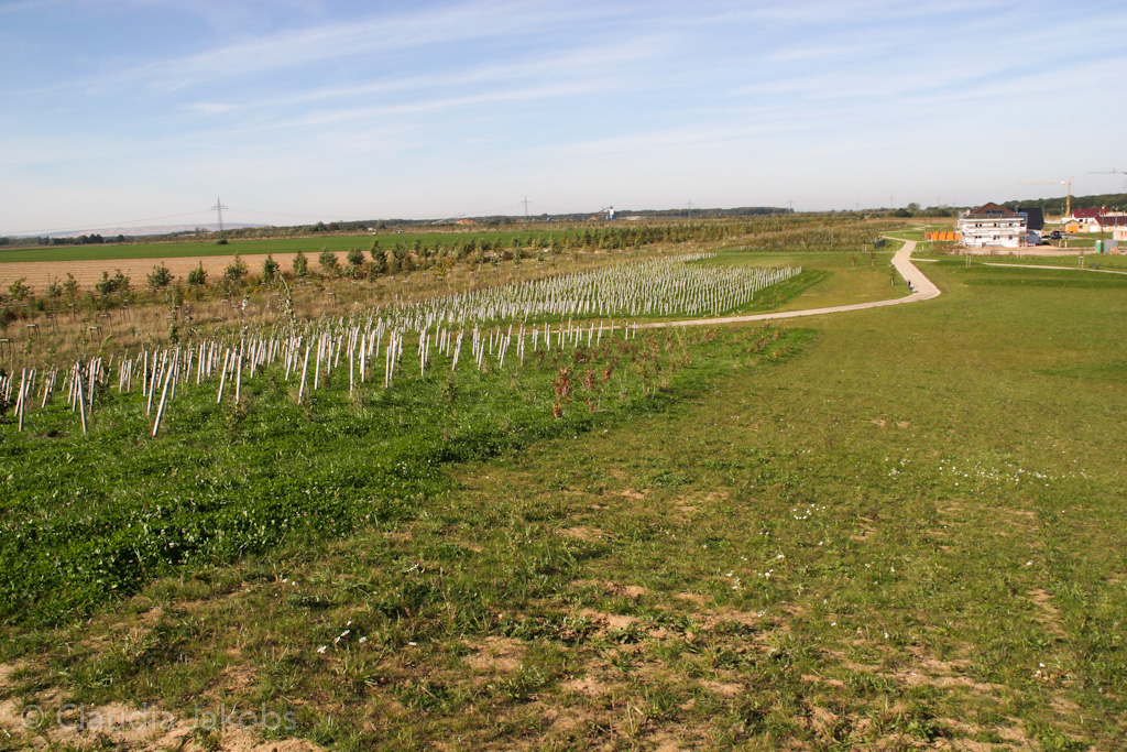 131003134347 IMG 6336