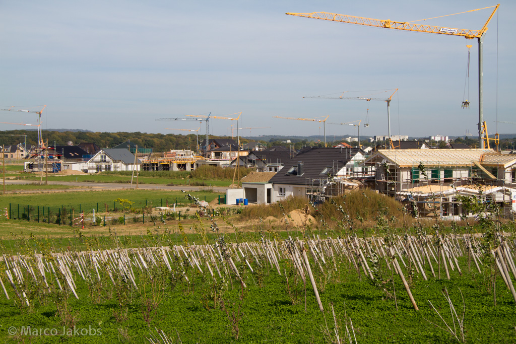 131003134438 MJ  0617