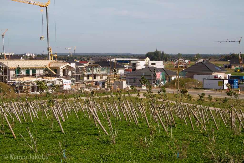 131003134443 MJ  0618