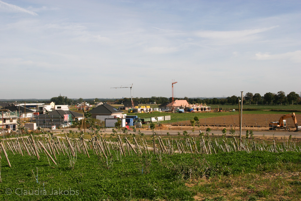 131003134452 IMG 6341