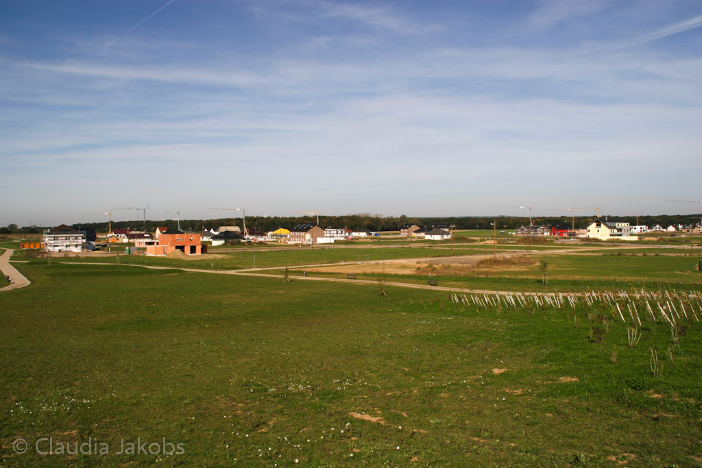 131003134512 IMG 6343