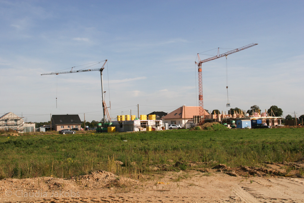 131003141404 IMG 6349