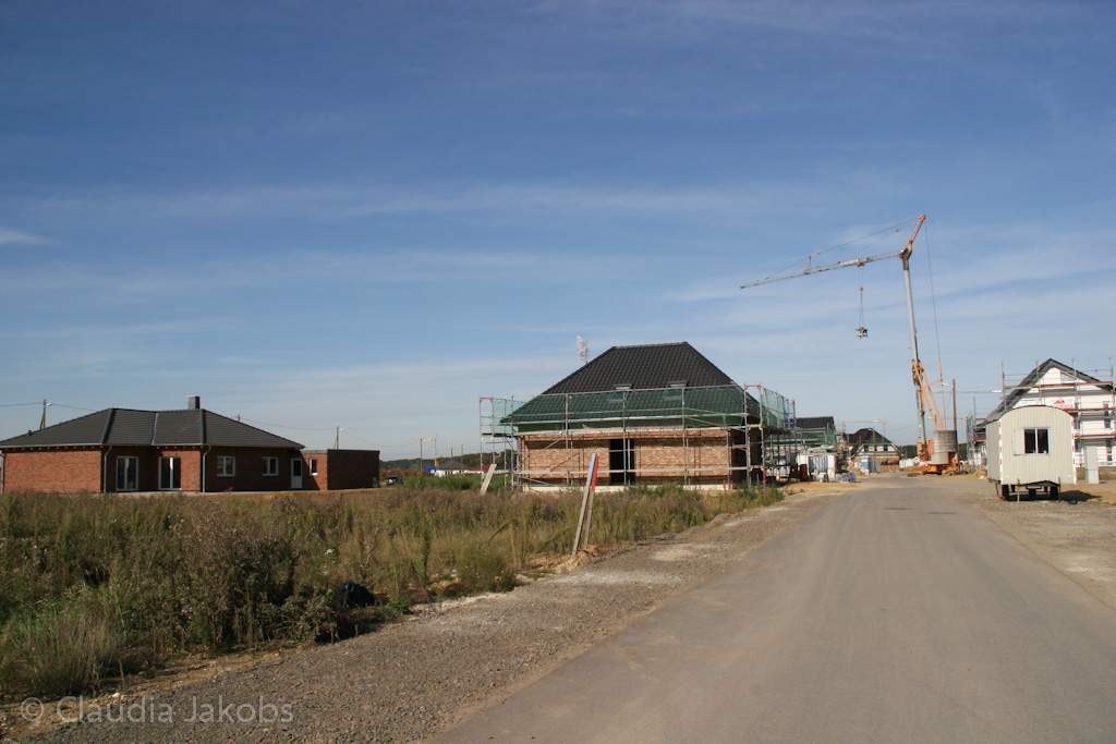 131003141414 IMG 6350