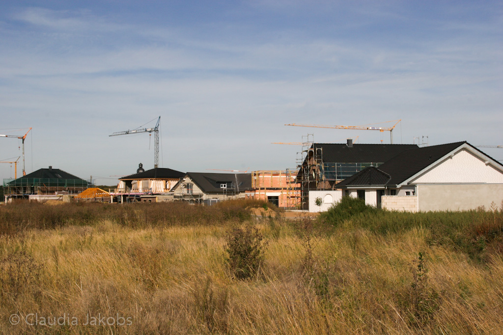 131003141558 IMG 6354