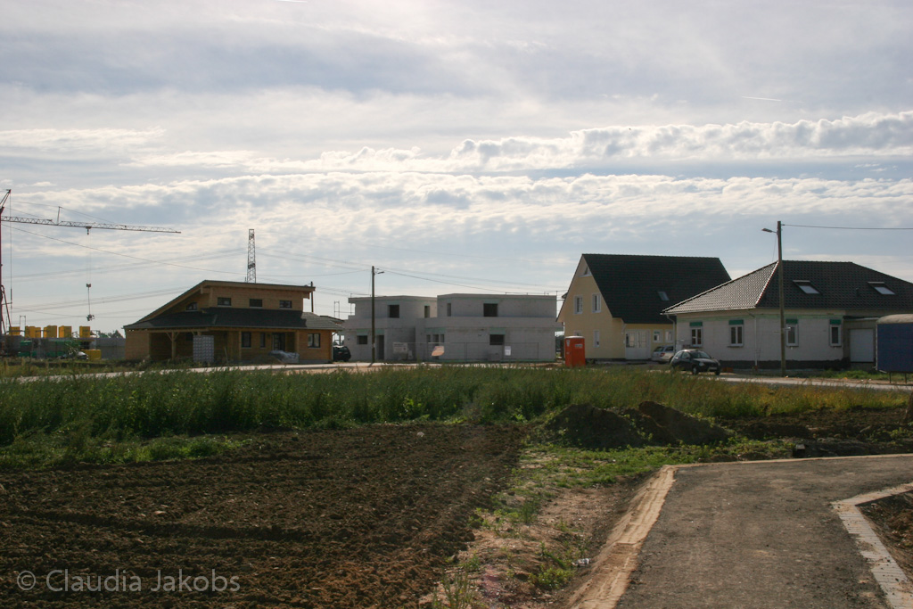 131003141941 IMG 6359