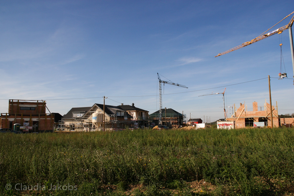 131003142012 IMG 6361