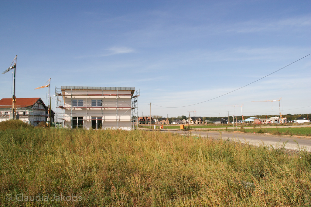 131003142325 IMG 6367