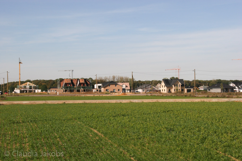 131003142351 IMG 6368