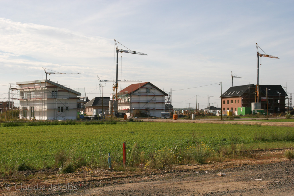 131003142542 IMG 6370