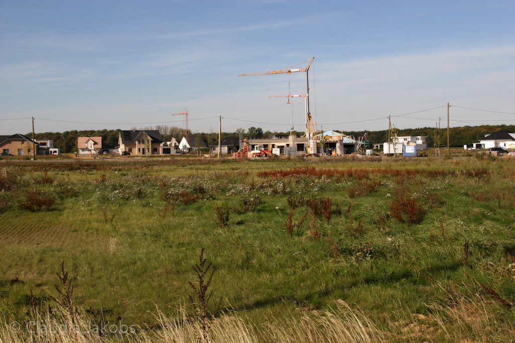 131003142637 IMG 6372