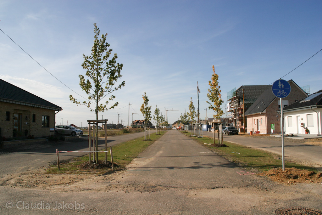 131003142827 IMG 6375