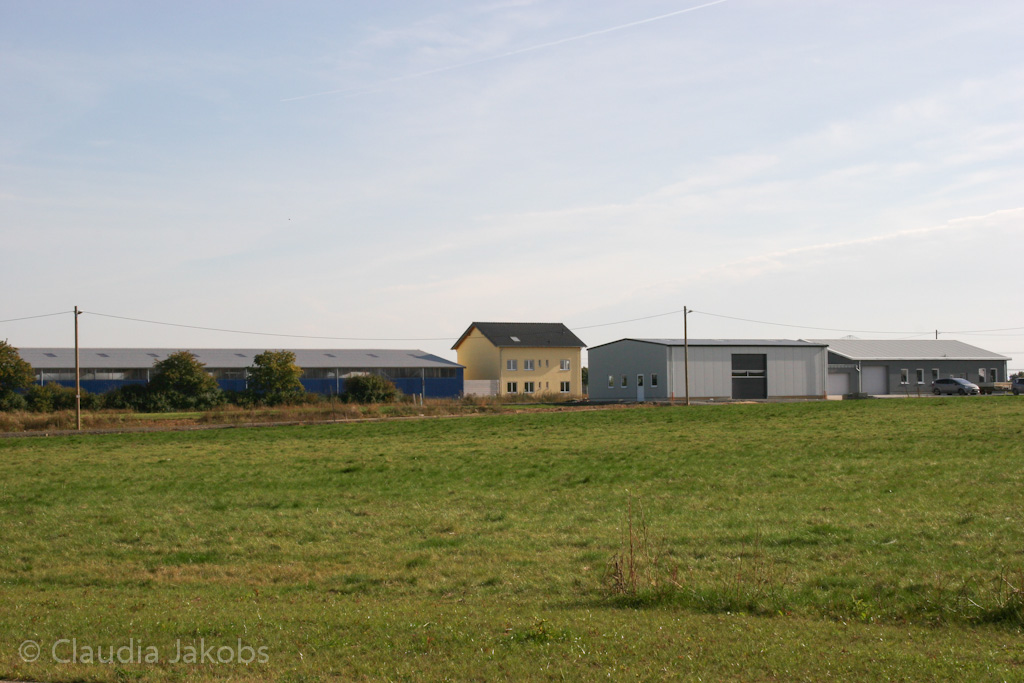 131003142841 IMG 6376