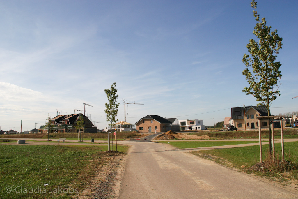 131003143329 IMG 6380