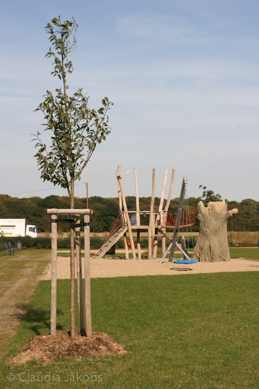 131003143601 IMG 6387