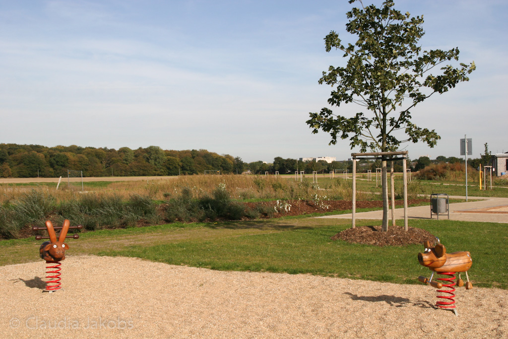 131003143821 IMG 6392