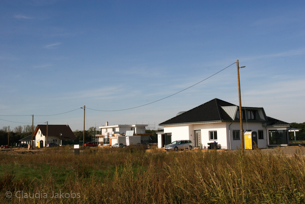 131003143926 IMG 6396