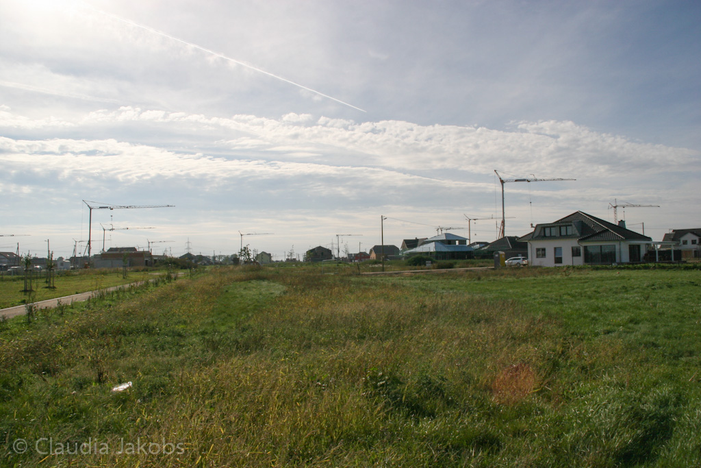 131003144059 IMG 6398