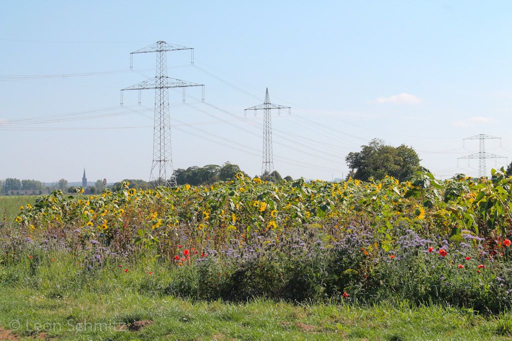 120916113408 IMG 0225