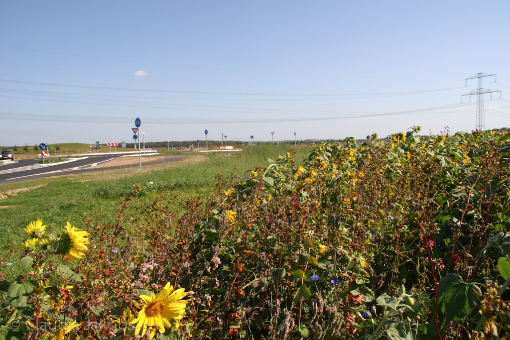 120916114212 IMG 3882