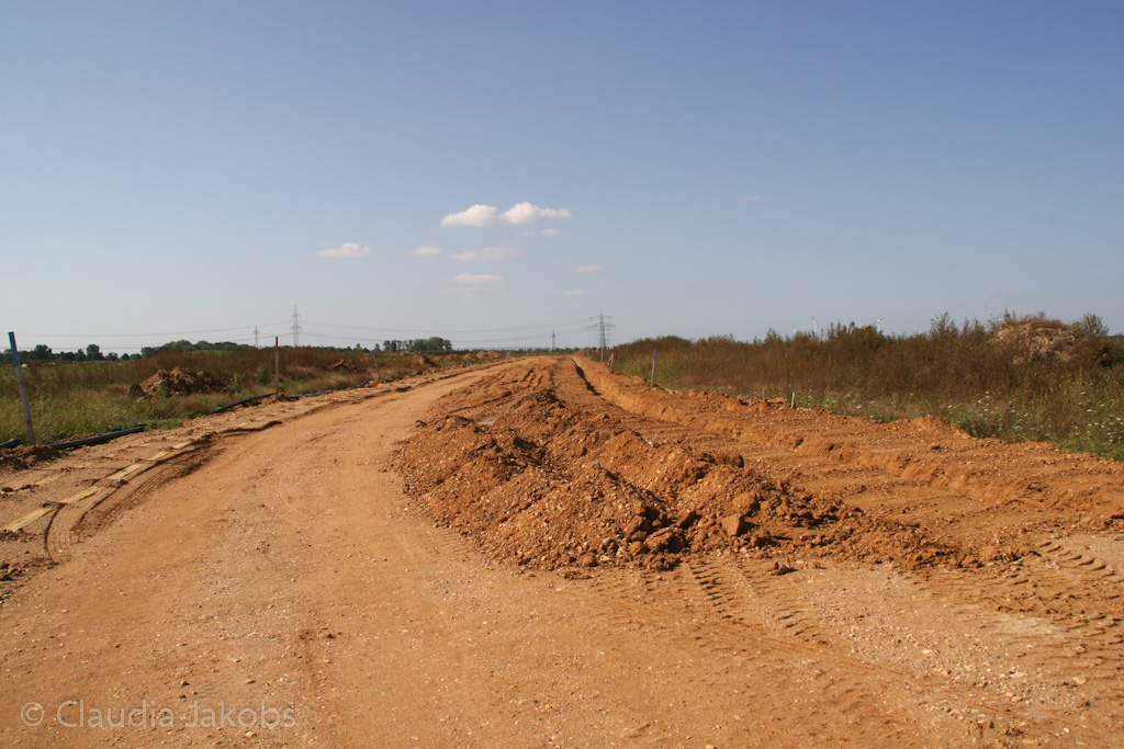 120916115638 IMG 3898