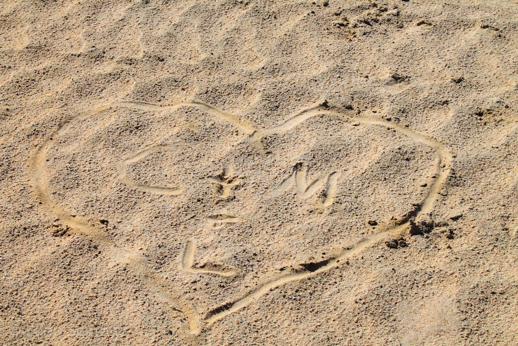 120916115857 IMG 0269