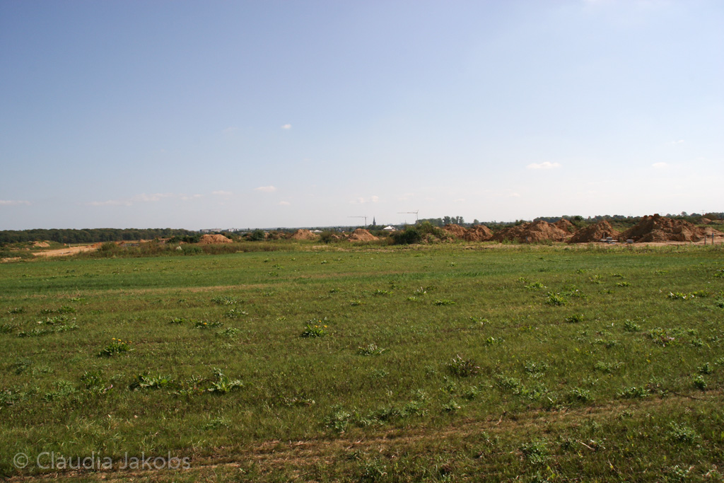 120916121239 IMG 3915