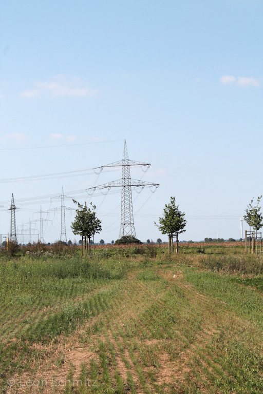 120916121403 IMG 0306