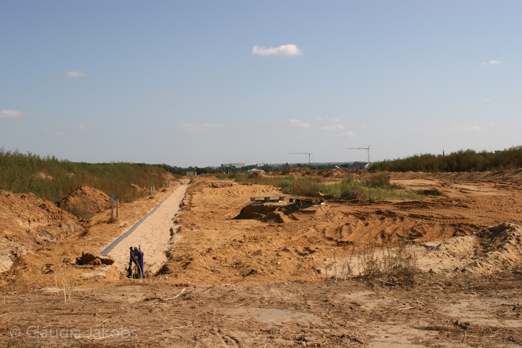 120916121706 IMG 3922