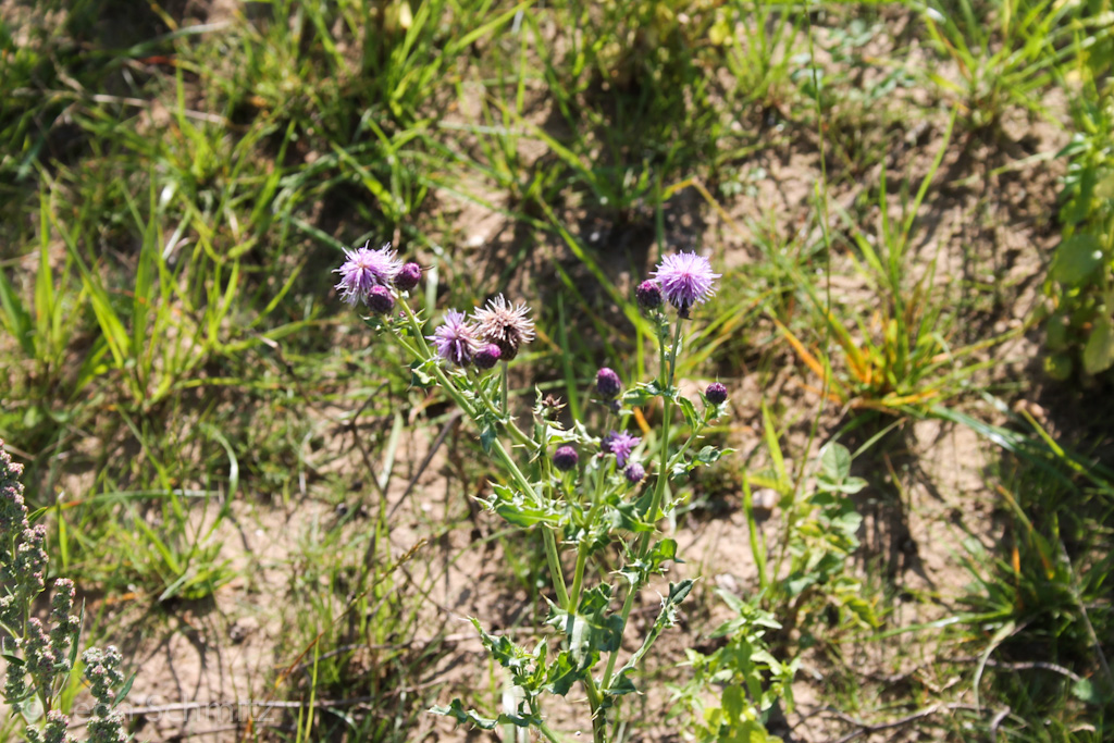 120916122128 IMG 0323