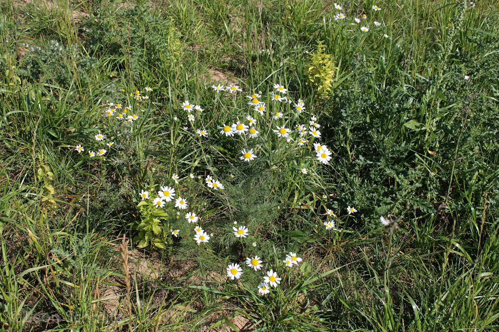 120916122324 IMG 0334