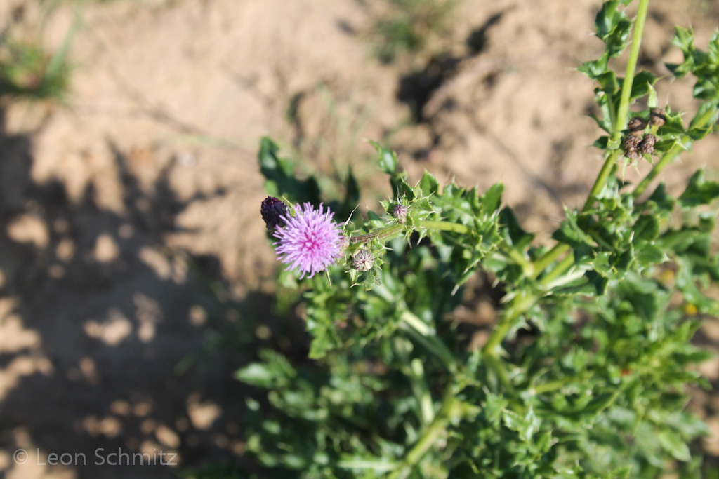 120916122454 IMG 0340