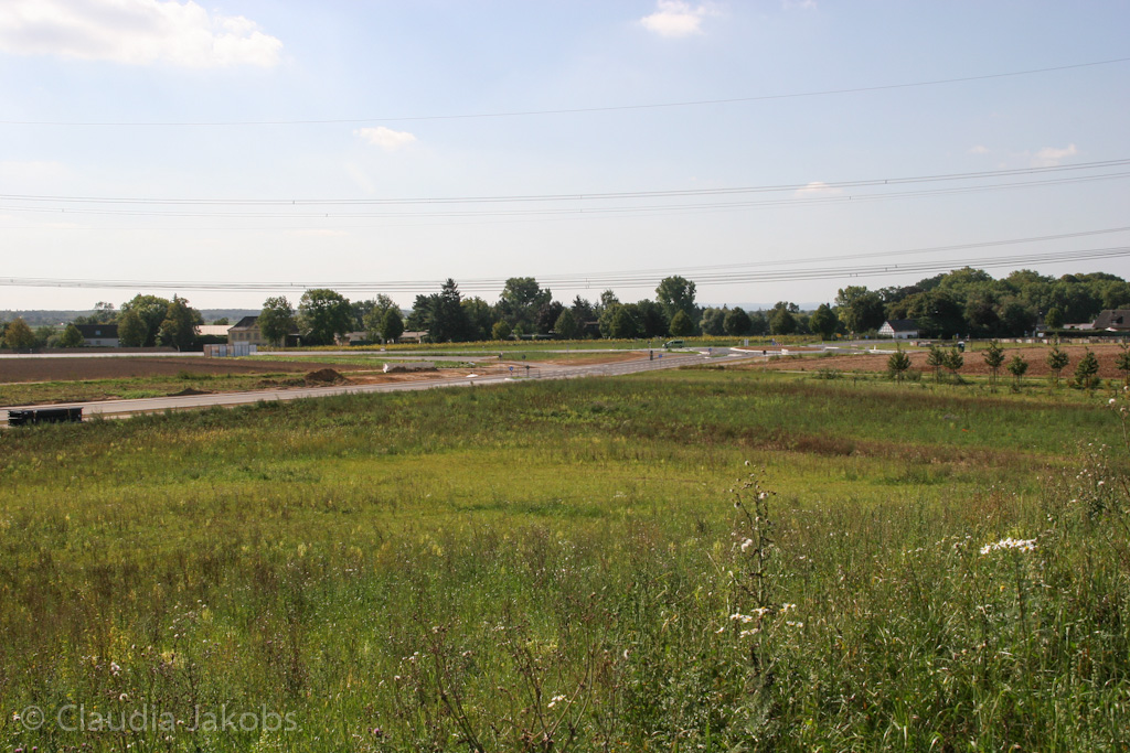 120916122604 IMG 3929