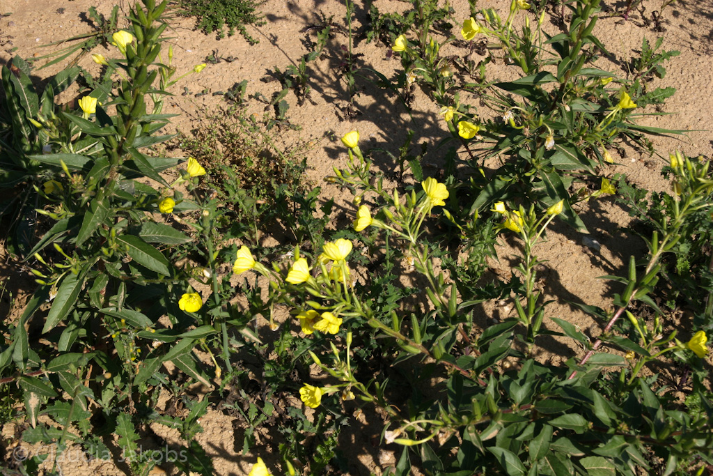 120916123538 IMG 3940