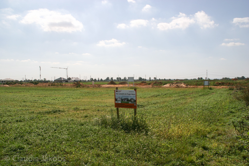 120916124933 IMG 3949