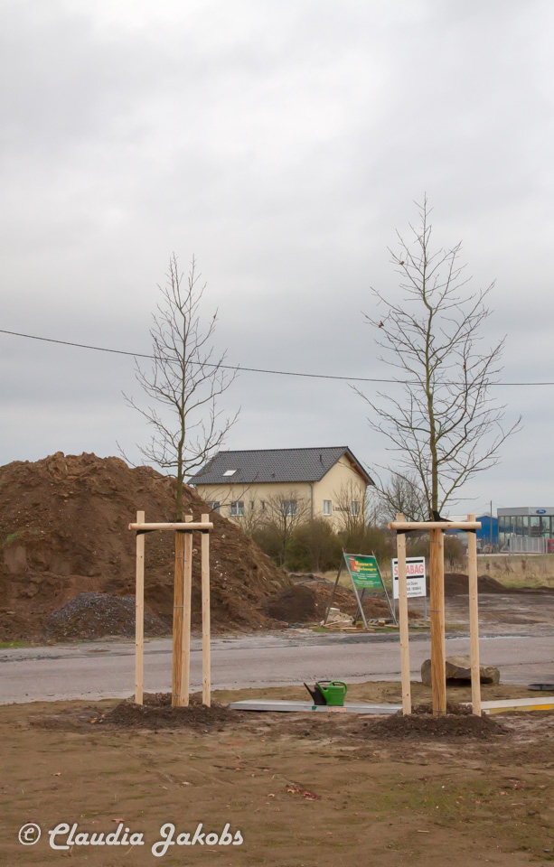 20171209135832 IMG 9766