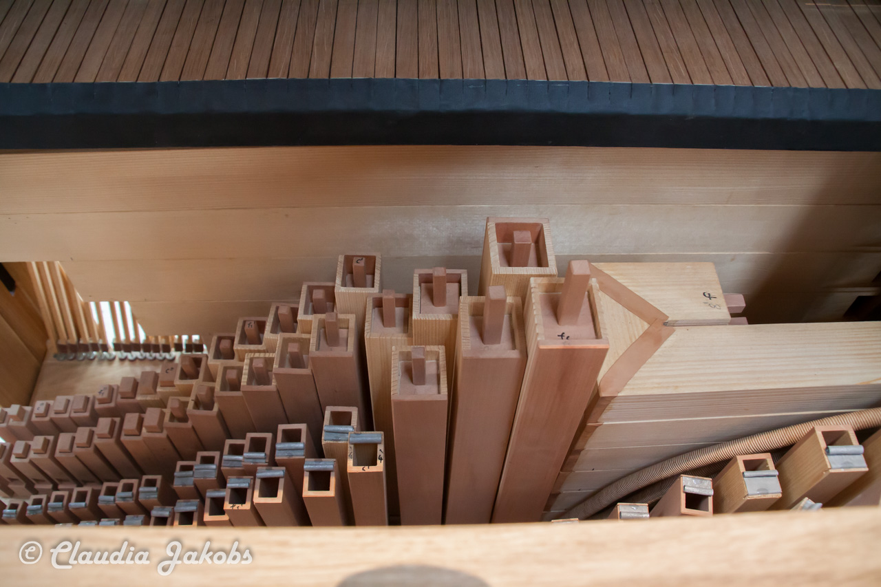 20210911115111 IMG 9018